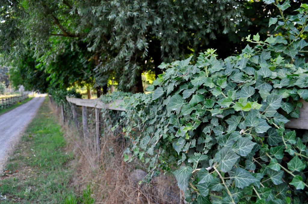 Le Macine Relais Bed and Breakfast Cairo Montenotte Exteriör bild